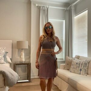 BCBGMaxAzria Striped Dress in Purple and Tan